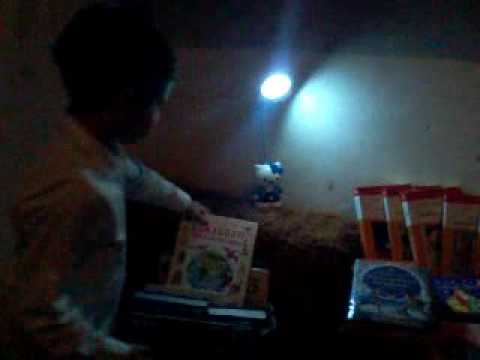 ჩემი სახლის ბიბლიოთეკა ლუკა ტოროშელიძე