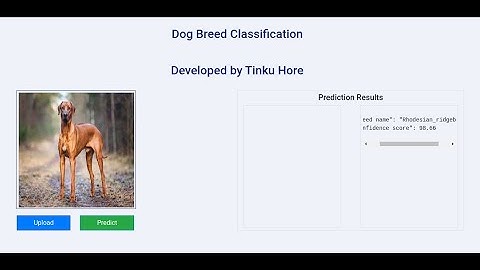Project Objective || Dog Breed Classification