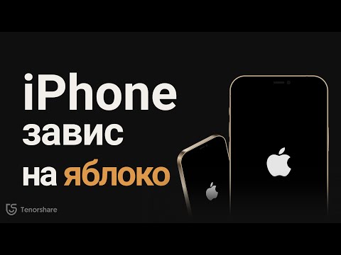 Что делать, если загорается яблоко и гаснет iPhone? 5 Способов в 2023 году