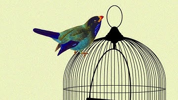 Complexity, Lectica, and your business