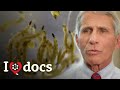 Secrets of the zika virus exposed  world war zika  epidemic documentary