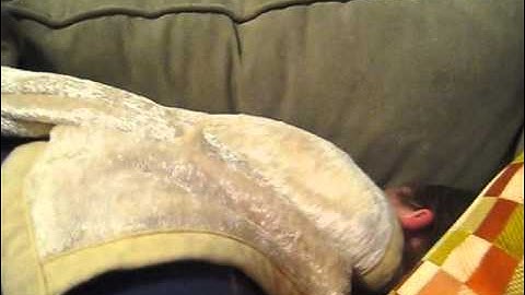 sloth- the 7 deadly sins