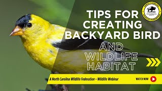 Tips for Creating Backyard Bird and Wildlife Habitats - North Carolina Wildlife Federation