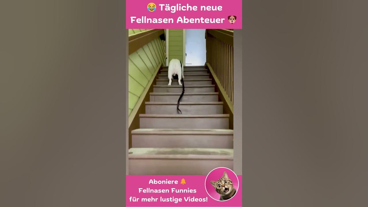 arbeiten auf treppen