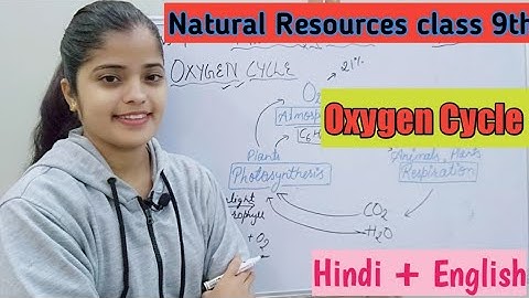 Oxygen cycle | Natural Resources class 9th | Class 9th Science biology