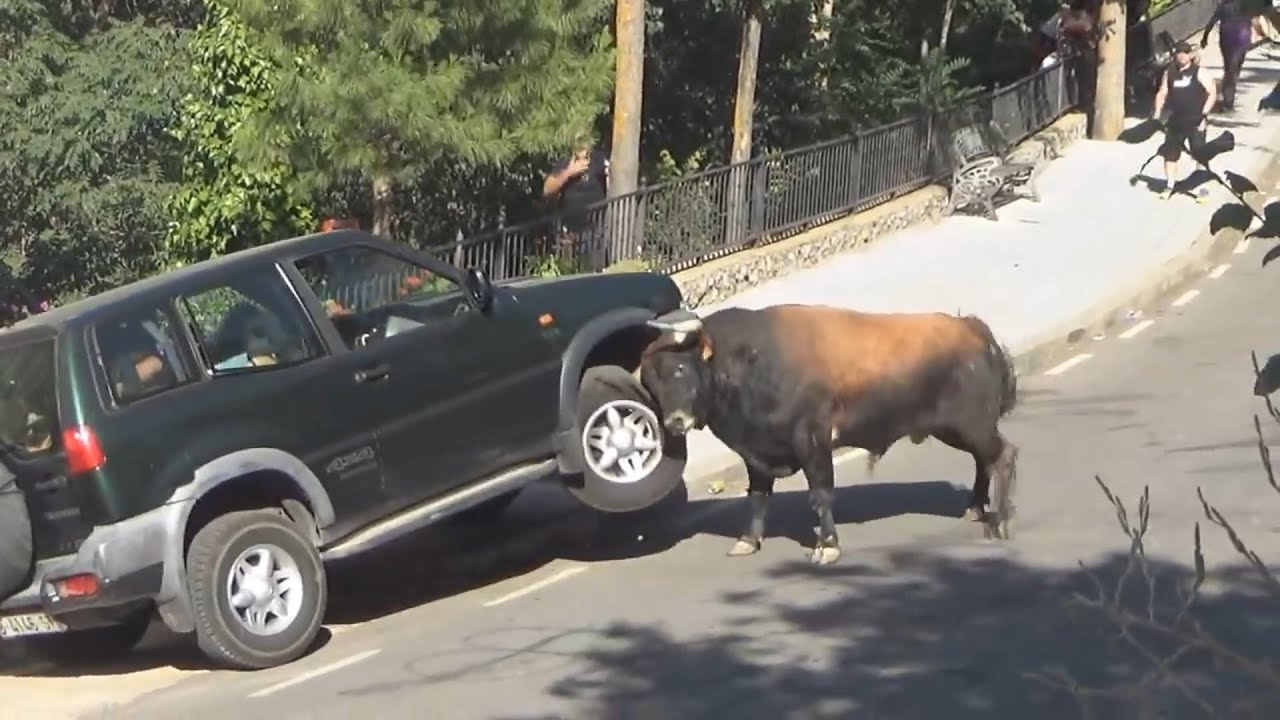 10 Toros BRAVOS Que se SALIERON de CONTROL