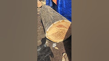 Gỗ căm xe dòng gỗ làm nội thất cực tốt | Sơn Sập Gỗ