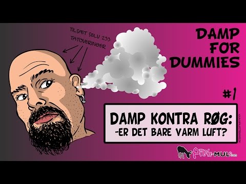 Damp For Dummies om damp, økonomi etc