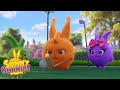 SUNNY BUNNIES - Bir delik | WildBrain