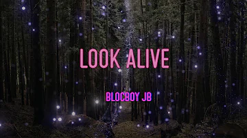 Blocboy Jb - Look Alive (Feat. Drake) Lyrics | Niggas Came Up On This Side, Now They On The Other S