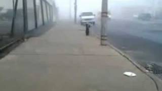 2011-11-09-07-26-53 One Foggy Day in Bronx Boston Rd