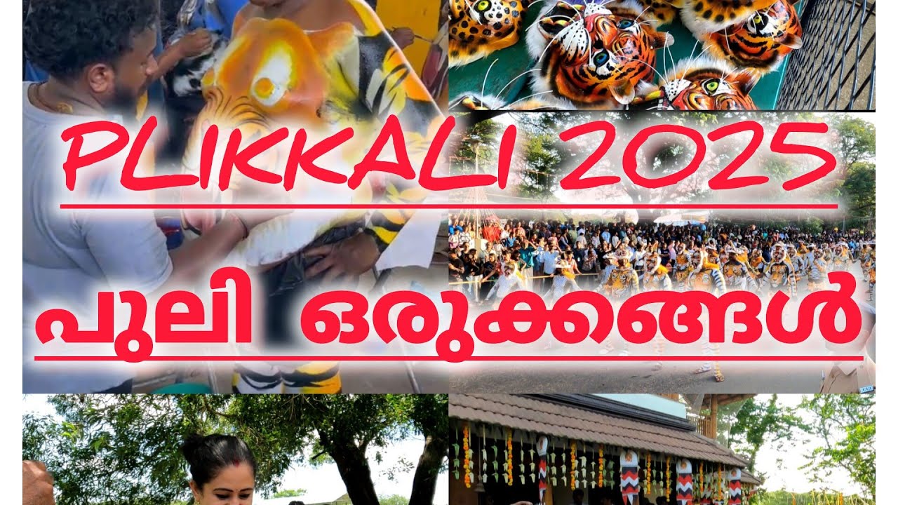 പുലിക്കളി 2025 || പുലി ഒരുക്കങ്ങൾ കണ്ടാലോ 2025 || പെൺ പുലി||