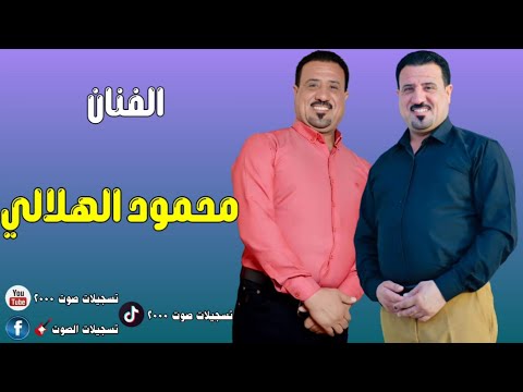 محمود الهلالي بيض الحمام إنهودچ 