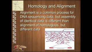 Unit 1 4 1 Introduction and Pairwise Alignment