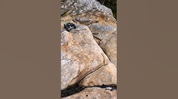 Axial SCX24 Injora Rock Buggy - Rolling beach rocks #axial #scx24 #axialscx24 #injora #rccrawler