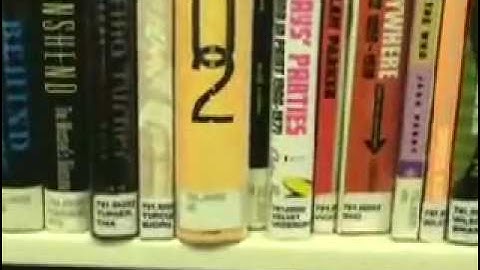 R. Stevie Moore - Dewey Decimal System