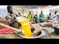 Indian Street Food of Hyderabad - Making HALEEM, SPICY Brain Curry + The BEST Street Food in India