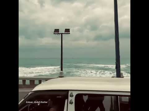 شايفين العمر الدافى شايلين في القلب حنين