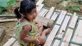 Single Mom - harvesting beans to sell, Making windows, walls, bamboo houses, Small family life