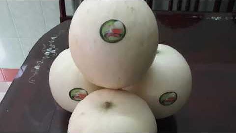 dưa lưới ruột vàng Thái Lan Việt Nam thong thai seeds 19 mar 2016