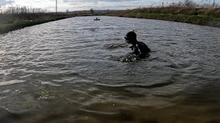 Пришлось нырнуть в холодную воду ) откуда появилась вода в пруду и изза чего падает глубина...