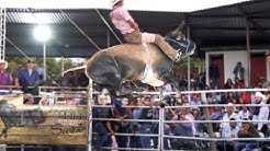 ¡¡NUNCA HABIAN VISTO VOLAR TANTO A UN TORO!! Rancho Los Destructores En El Fresno Michoacan