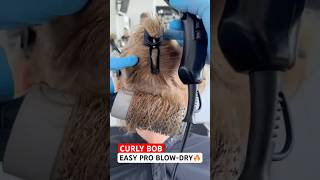 CURLY BOB PRO EASY BLOW-DRY: Complete Tutorial Linked Below! 🔥🔥🔥