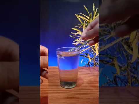 🔥Easy science experiment to do at home|easy experiment#M4_tech#E_bull_jet#FISHING_FREAKS#trending#yt