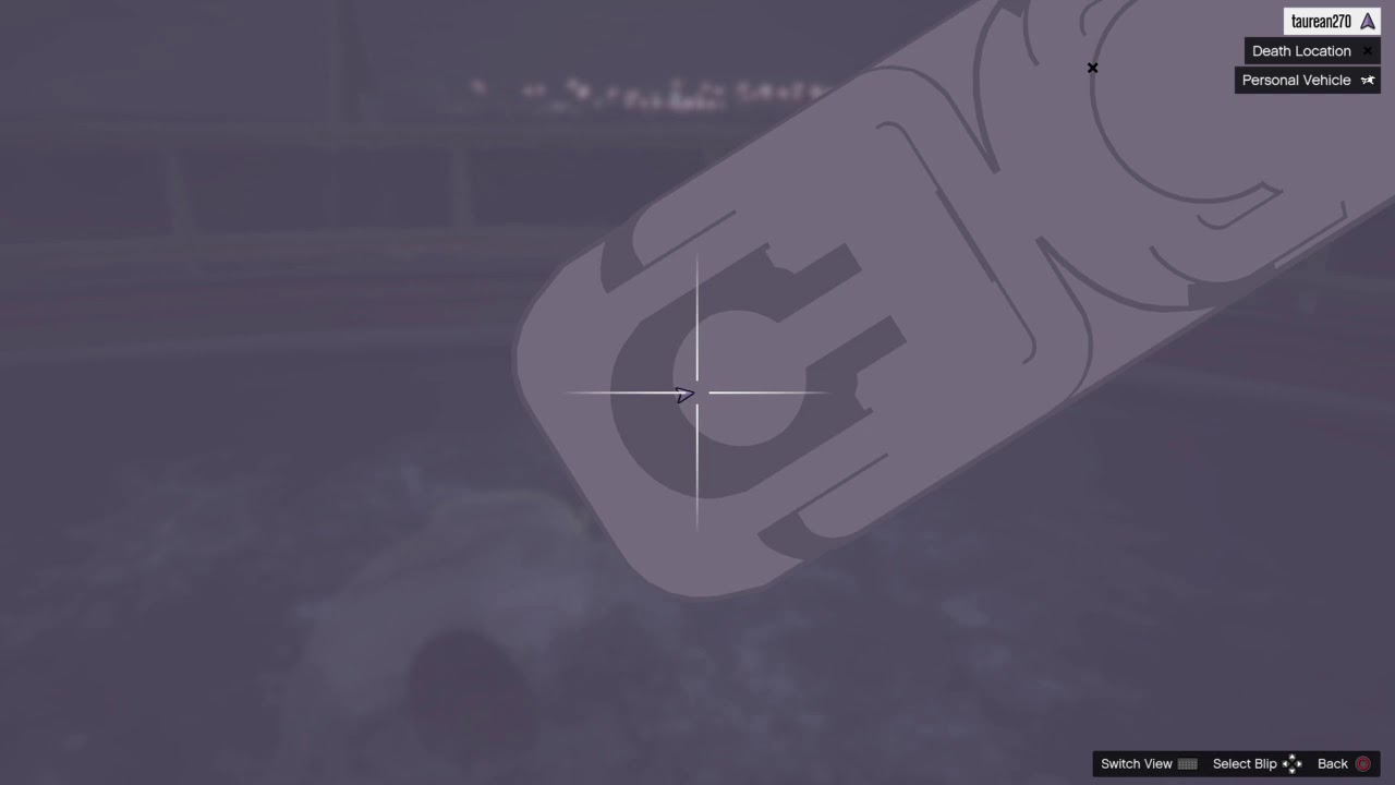 Piracy Prevention on The Gilded Lady