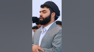 ماتیسر من سورة الفرقان_بيشةوا قادر الكردي