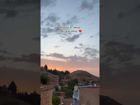 Abdou Gambetta Said Mafeya Ta Blya Mebli Bik Ntiya Sunset الظروف Rai Nicesongs 