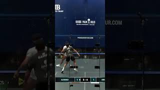 Squash match #Squash #sports #shortsfeed #badminton #tennis #viralvideo #youtubeshorts #Shorts #wsf