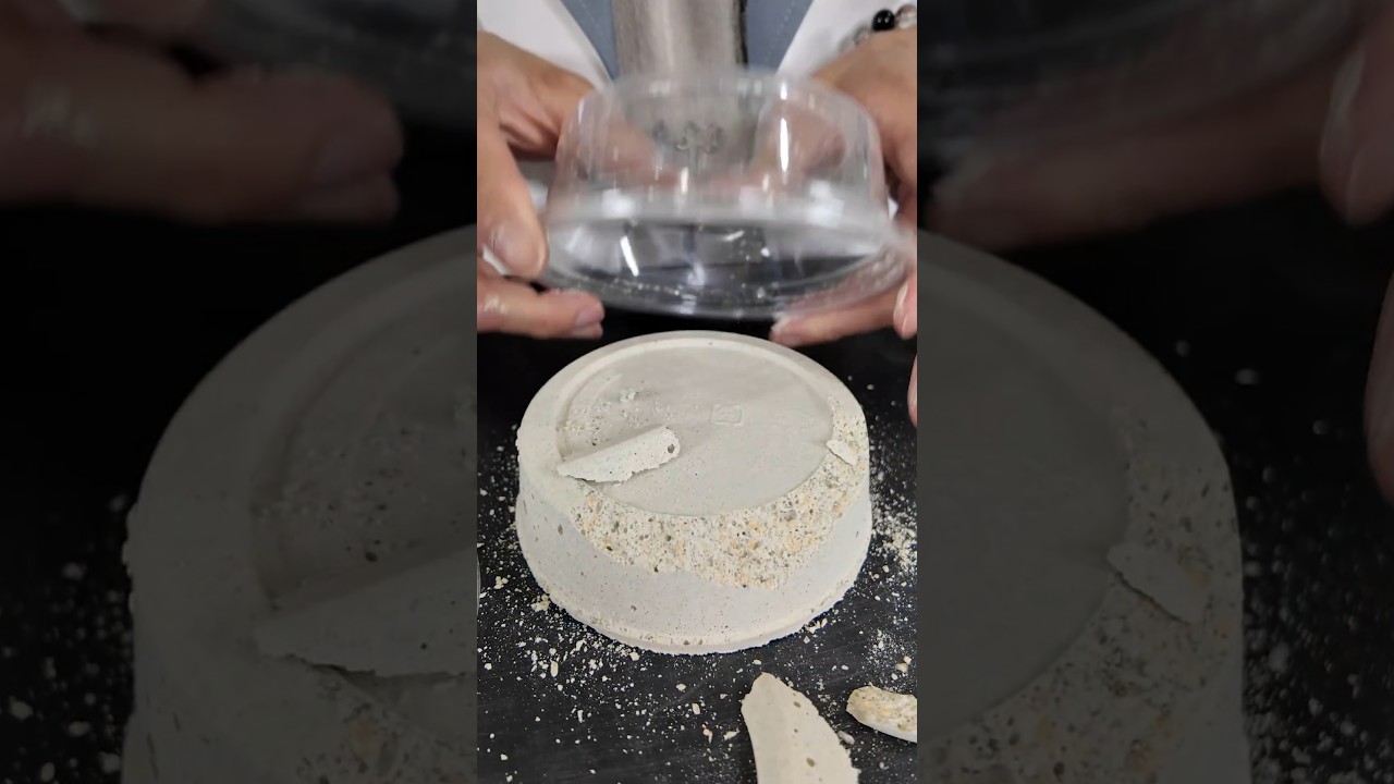 This fossil excavation kit that lets you find tons of real fossils