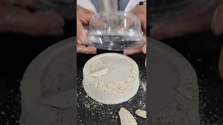 This fossil excavation kit that lets you find tons of real fossils