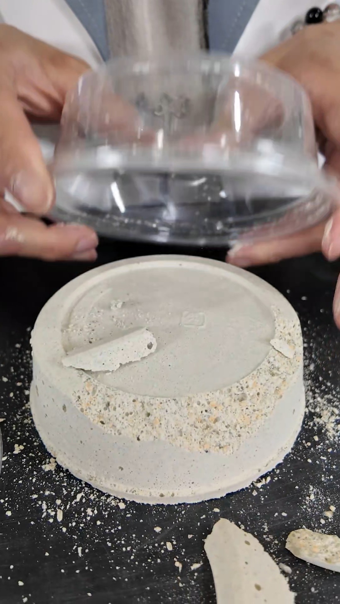 This fossil excavation kit that lets you find tons of real fossils