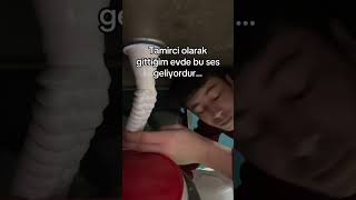 Avokado Da Olsa Çok Iyi Olcak Şfet Im