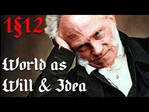 Jung's Inspiration for