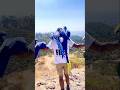 Hyacinth macaw parrot