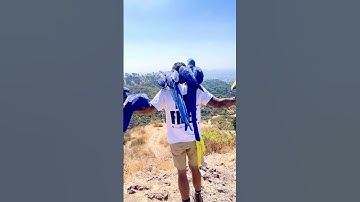 Hyacinth macaw parrot