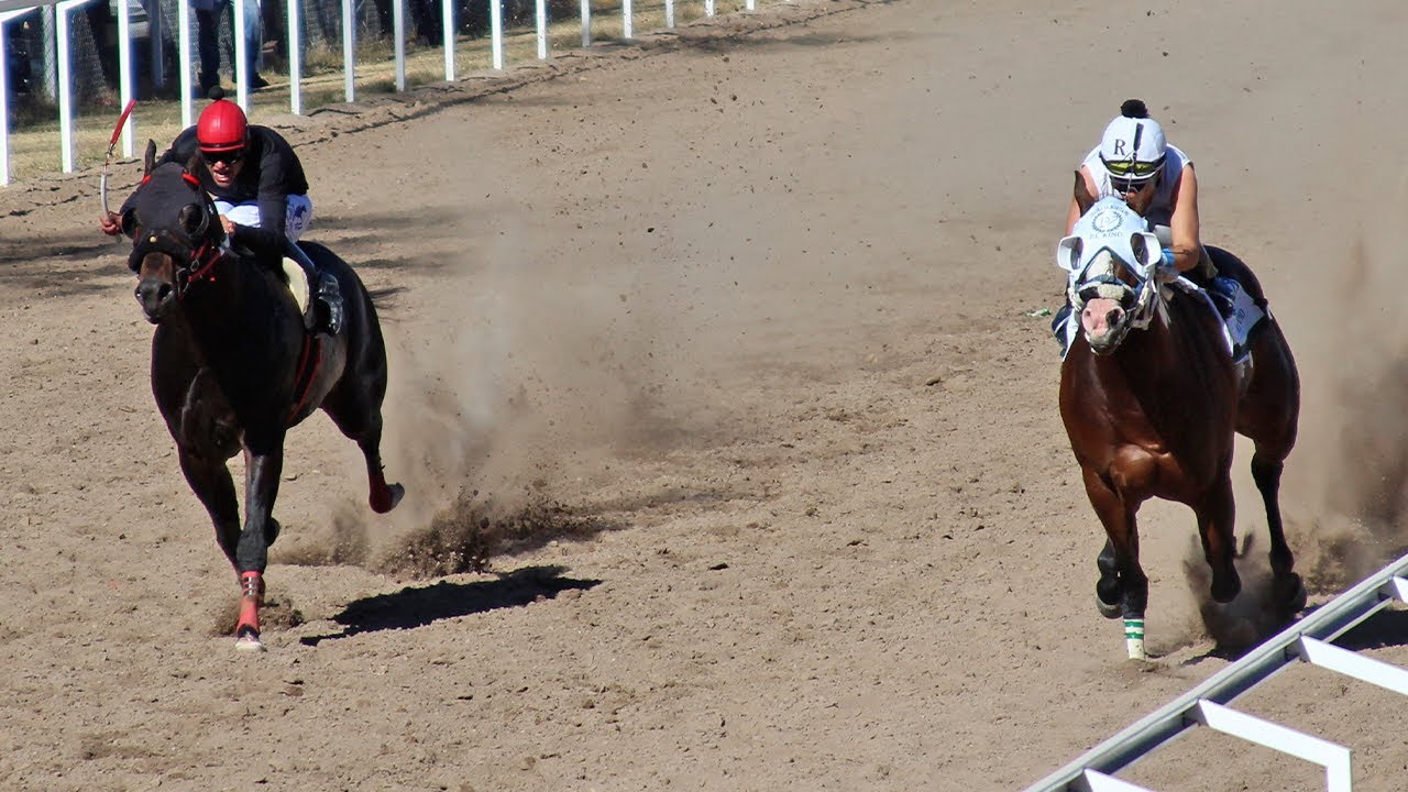 Carreras de Caballos en Imuris 02 Febrero 2025