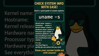 Check Your Linux Version Instantly with uname! (Know Your System) 🖥️🔍