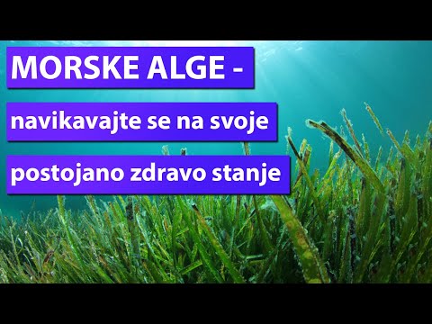 Video: Novi Rekord Gospodarske Morske Alge, Ahnfeltiopsis Concinna, U Koreji