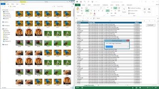 Excel Demo: Image Downloader Using VBA screenshot 3