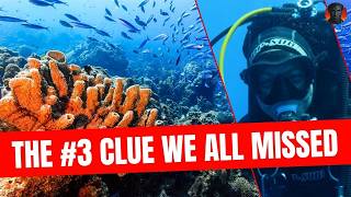 Lost in the Blue: The Obvious Danger Behind the Maldives Cave Tragedy
#MaldivesDivers #CaveDiving #ScubaDiving #DivingSafety #UnderwaterExploration #Maldives #Mauritius #AdventureTravel #HumanFactors #RiskPsychology #OceanMystery #TravelSafety #SurvivalPsychology #DivingAccident #TrueCrimeAnalysis
Source:
https://www.maurinet.com/tourist-information/swimming-mauritius
TCRS - The Critical Thinking True Crime Channel
Join this channel to get access to perks:
https://www.youtube.com/channel/UCWijkSas6Bp2rFtDKDcB4ig/join Lost in the Blue: The Obvious Danger Behind the Maldives Cave Tragedy