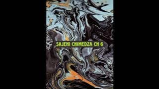 Kuverengwa Kwemabhuku|Sajeni Chimedza Ch6#paivapokareaudiobooks#tsikanemagariro#shonaaudiobooks