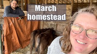 Missouri Homestead : One Year on Our Farm : March