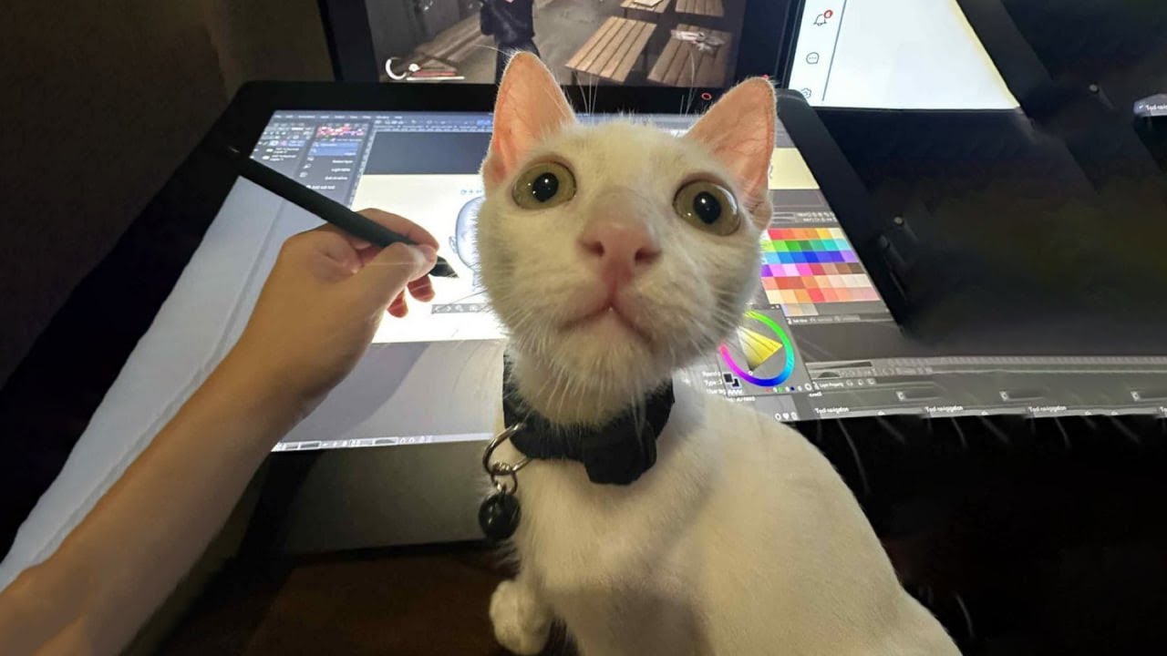 The Funniest Cat Videos 🐱 Try Not To Laugh Part 71