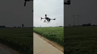 A Drone Being Used To Do Wheat Crop-Dusting Work !