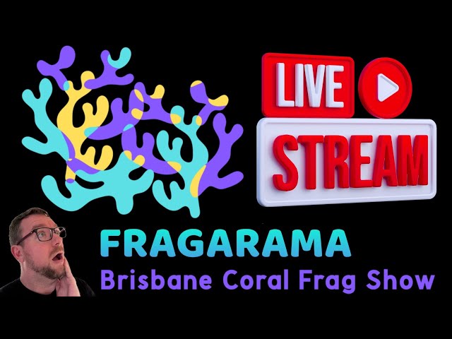 Fragarama 2024 - LIVE class=