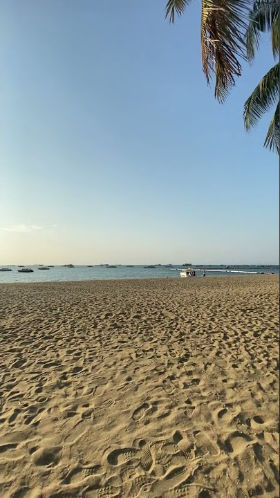 Happy Beach Sunday Morning - Beggin #shorts #storywa #hokindonesia
